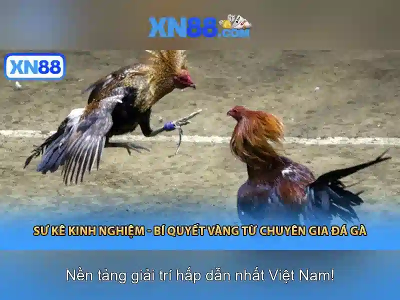Trải Nghiệm SLOT