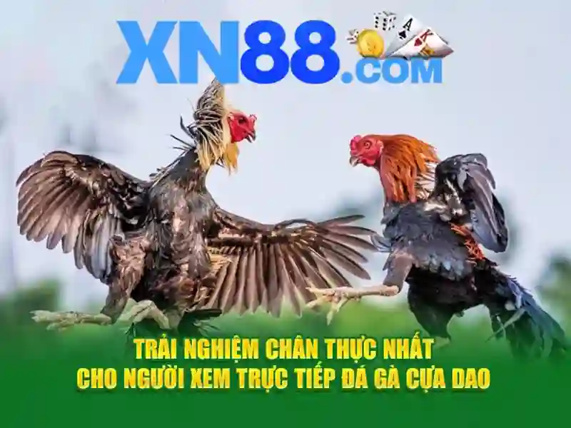 Hướng Dẫn Đăng Ký XN88 Dễ Dàng